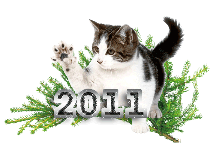 Год кота начнется. Год кота. Кот новый год. 2011 Год кота. Поздравление с годом кота и кролика.