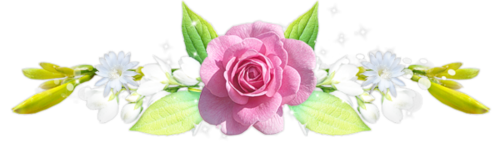 pic-1eb13ad5e02922db9.png